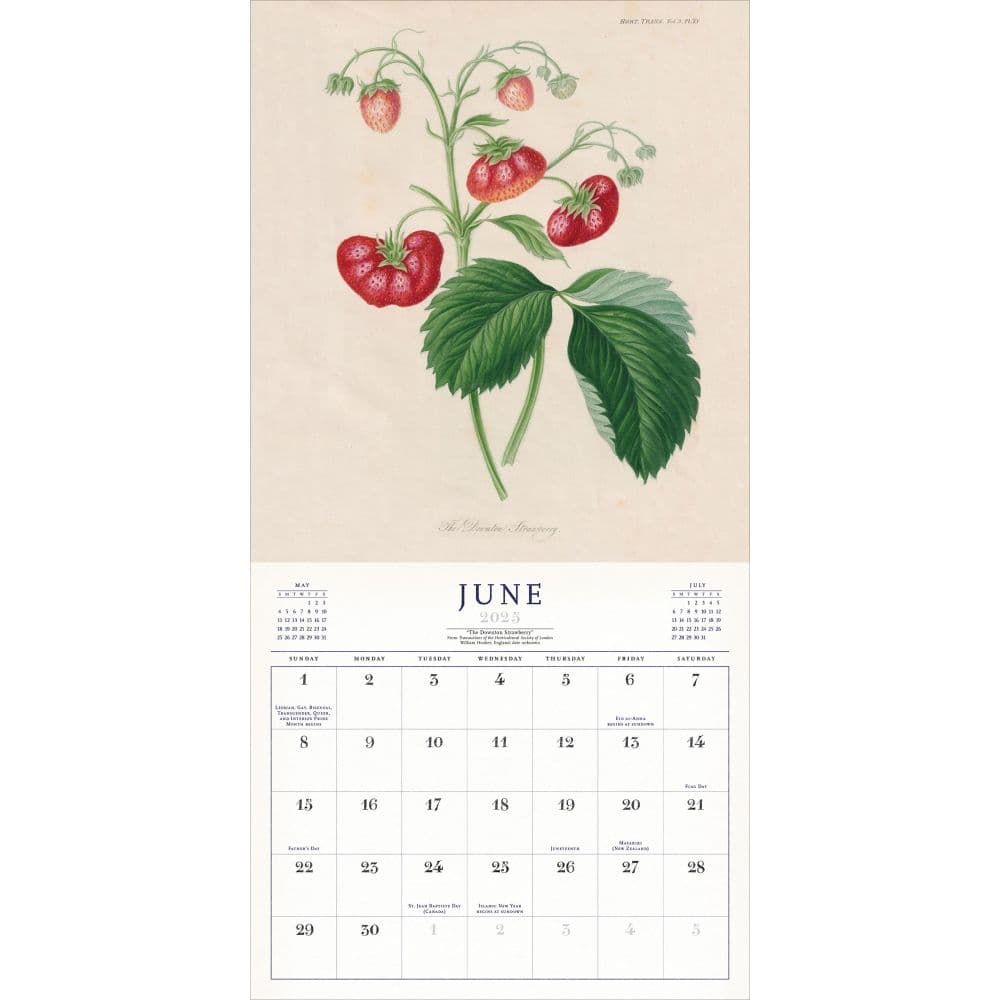 World of John Derian 2025 Wall Calendar Third Alternate Image width="1000" height="1000"