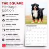 image Bernese Mountain Dogs 2027 Wall Calendar Sixth Alternate Image