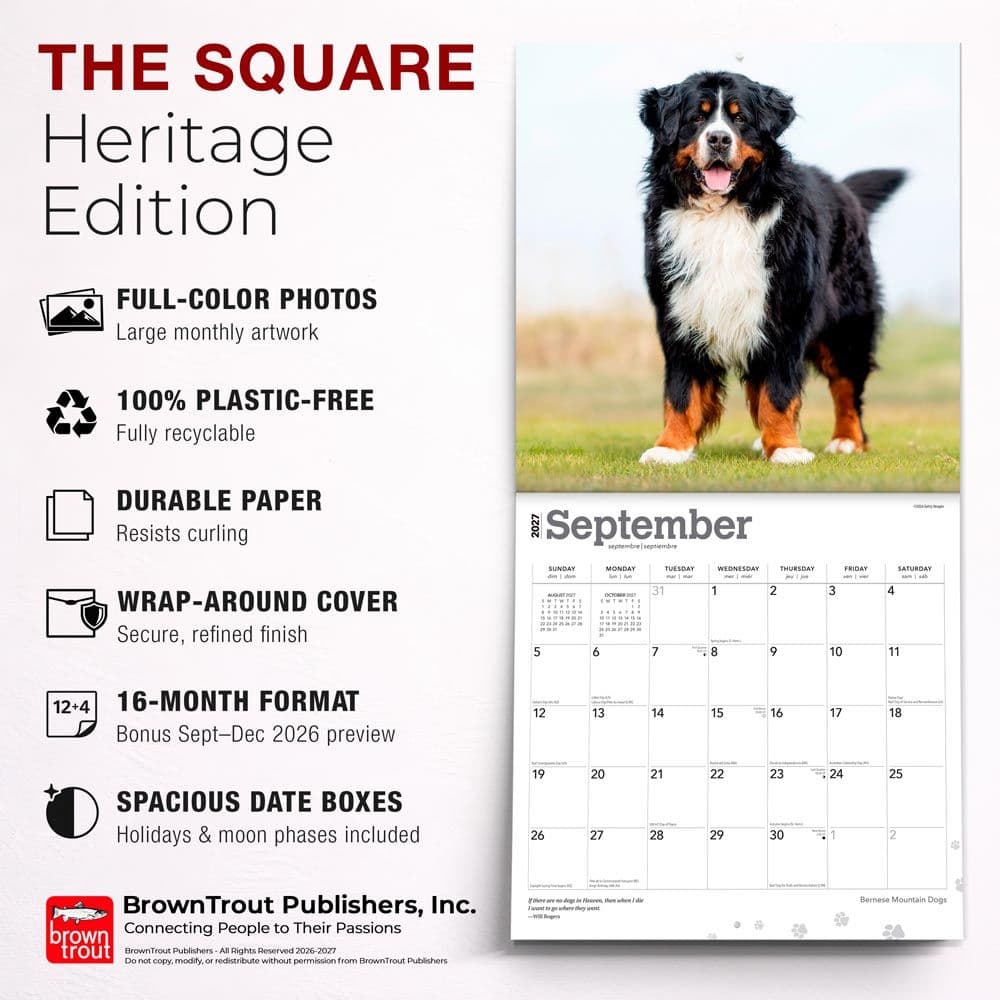 Bernese Mountain Dogs 2027 Wall Calendar Sixth Alternate Image