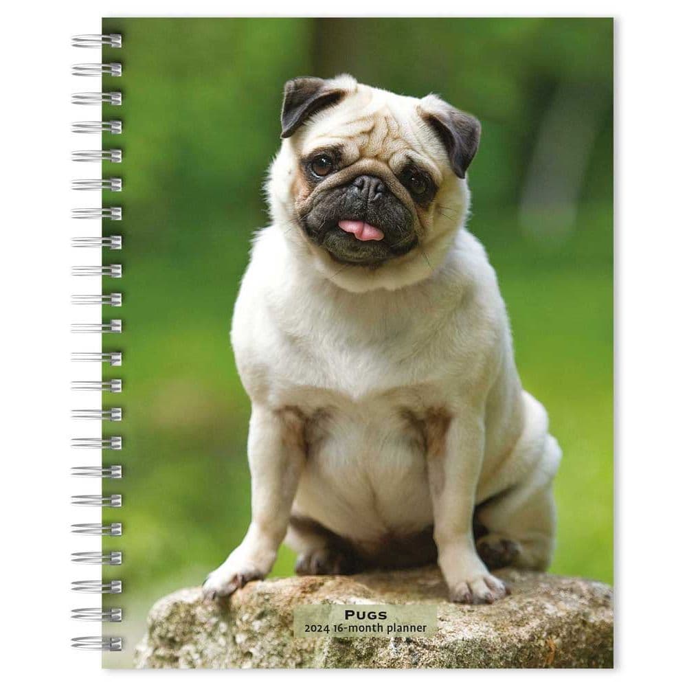 Pugs 2024 Planner