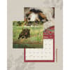 image Dogs We Love Ross 2025 Wall Calendar Third Alternate Image width=&quot;1000&quot; height=&quot;1000&quot;