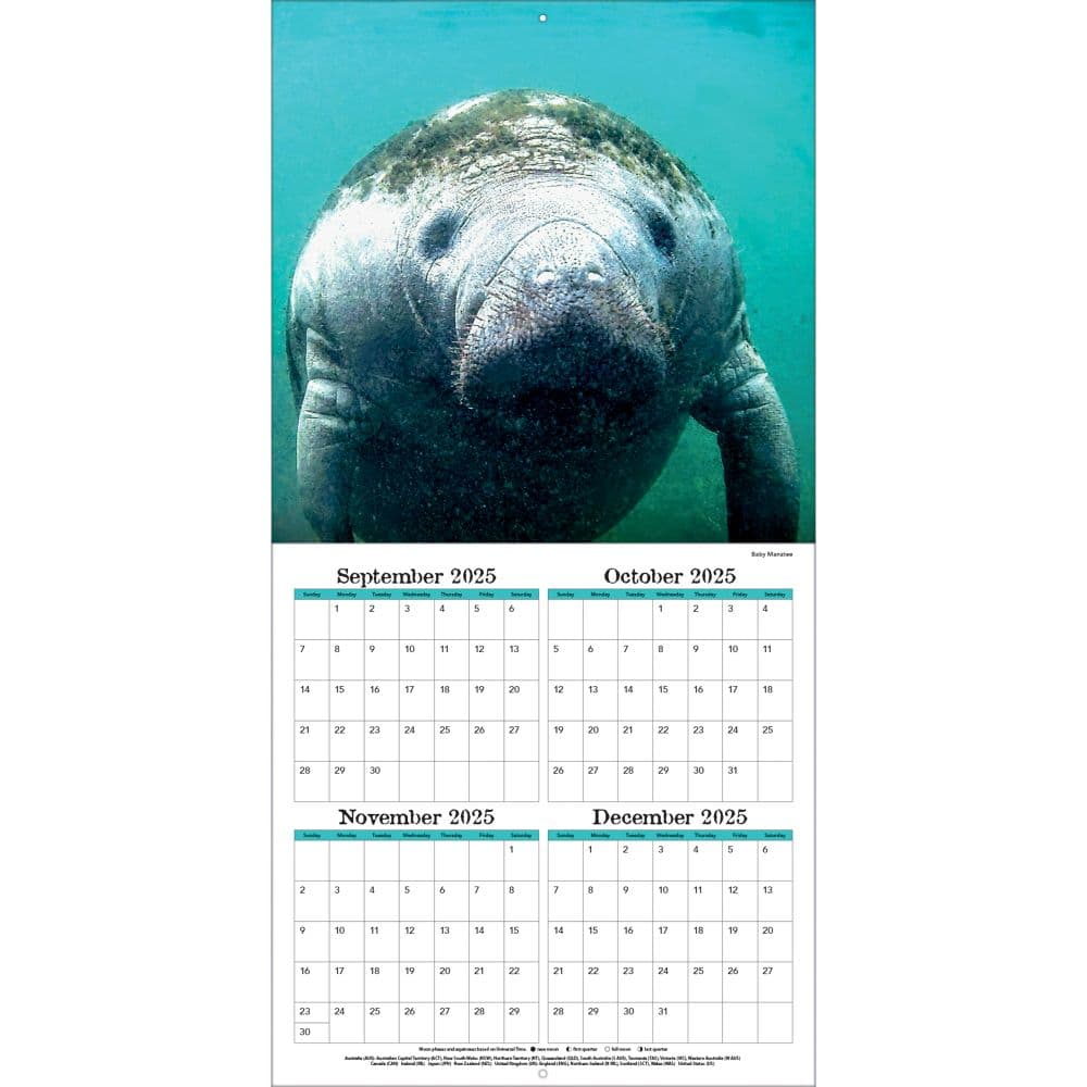 Sea Creatures 2026 Wall Calendar_ALT2