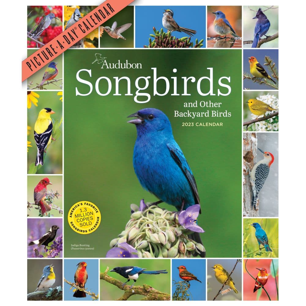 Audubon 365 Songbirds 2023 Wall Calendar By Workman Publishing Calendars For All