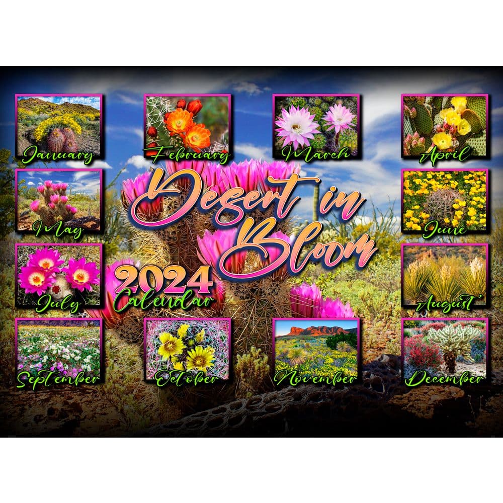 Desert in Bloom 2024 Wall Calendar