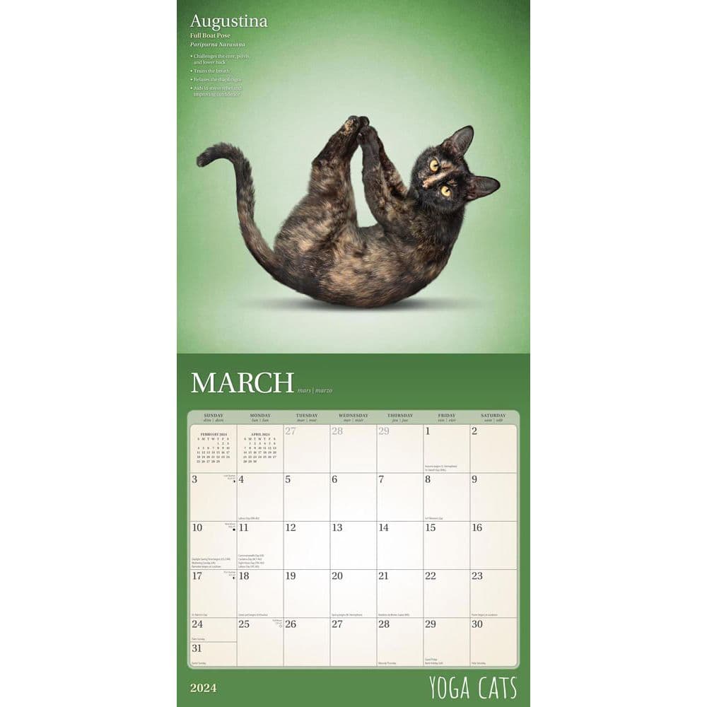Yoga Cats 2024 Wall Calendar Second Alternate Image width=&quot;1000&quot; height=&quot;1000&quot;