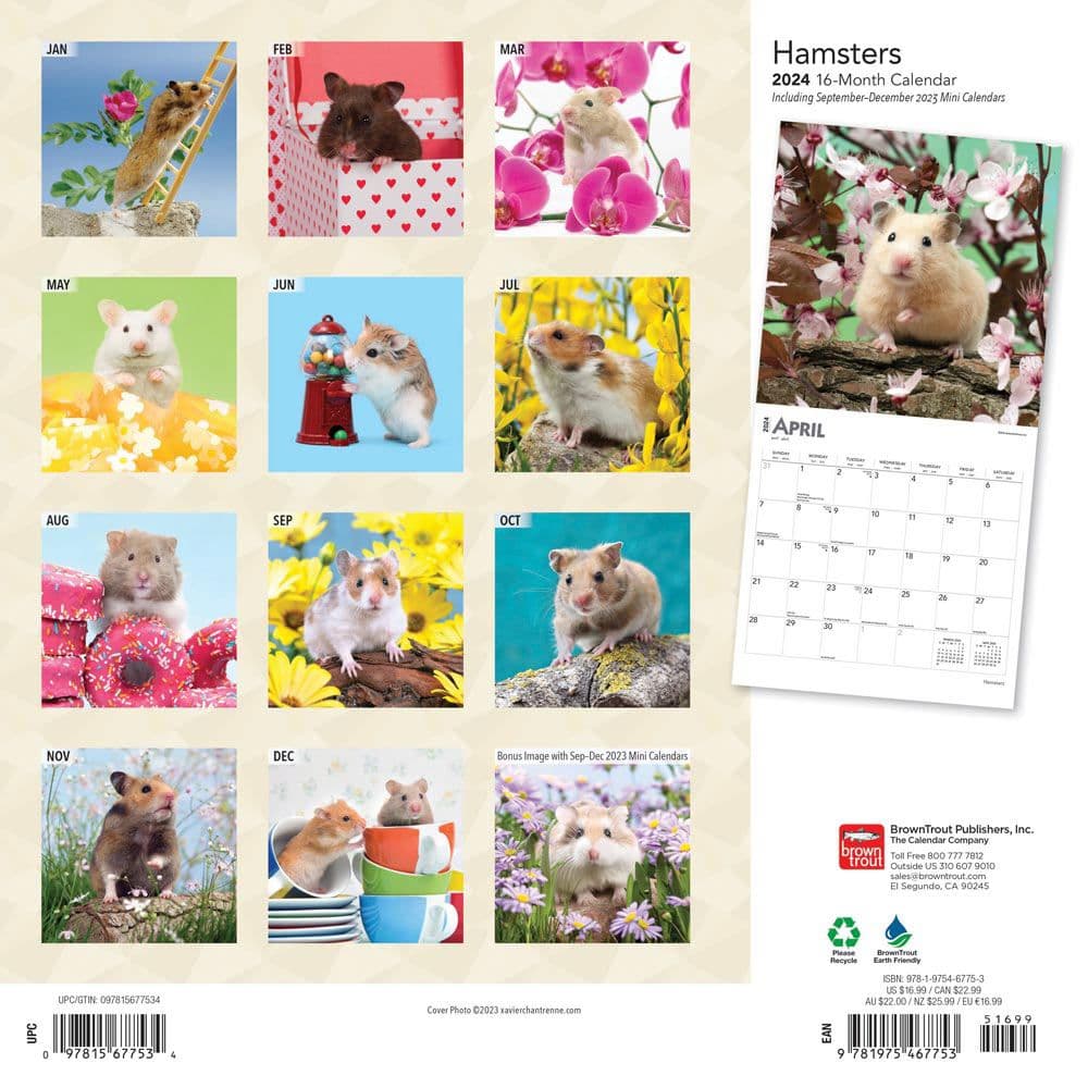 Hamsters 2024 Wall Calendar - Calendars.com