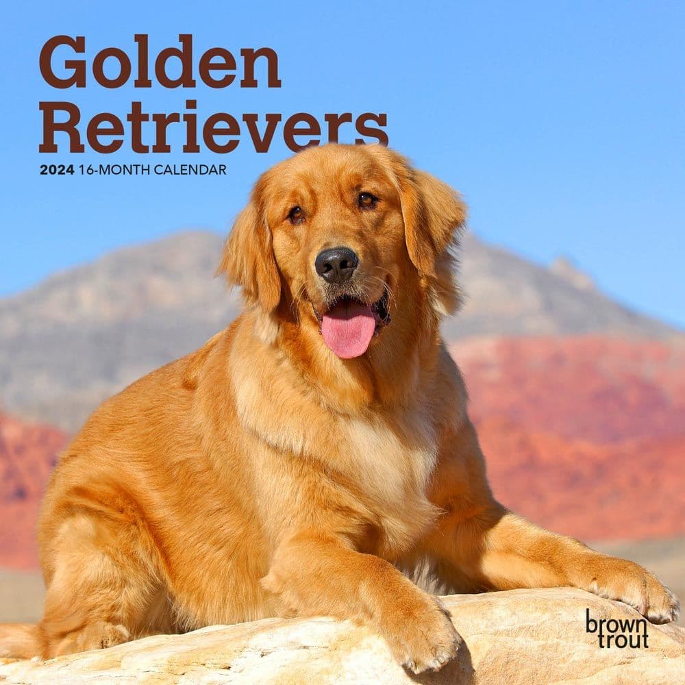 Golden Retrievers 2024 Mini Wall Calendar Calendars Com   7cd00cd8 Ca02 40df 9e16 07716ddd2cf8