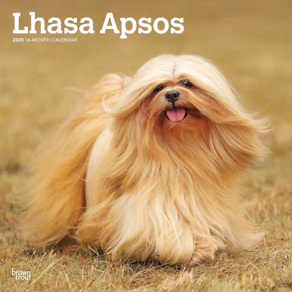 Lhasa Apsos 2025 Wall Calendar