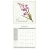 image Weeds and Herbs 2025 Wall Calendar