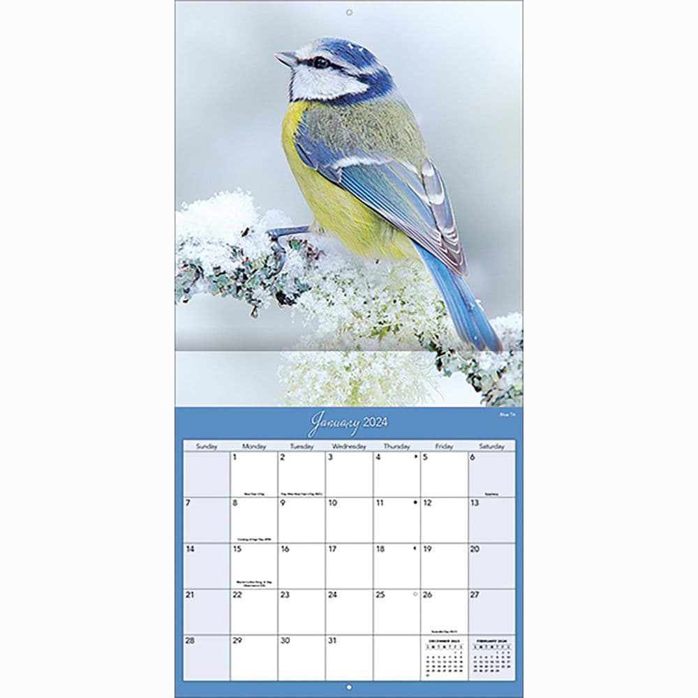 Songbirds Photo 2024 Mini Wall Calendar Second Alternate 
Image width=&quot;1000&quot; height=&quot;1000&quot;