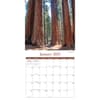 image National Parks Special Value 2025 Mini Wall Calendar