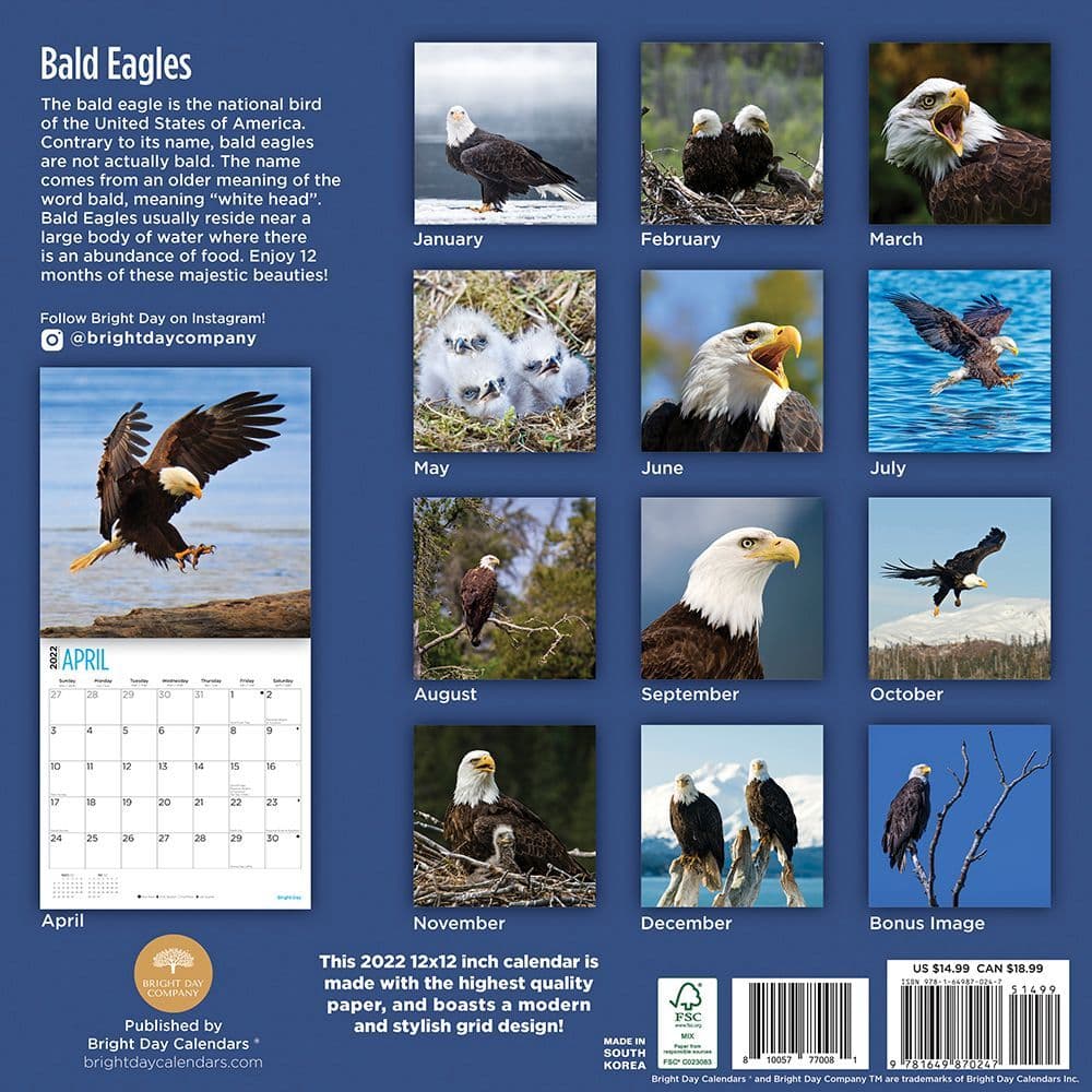 Eagles 2022 Calendar Bald Eagles 2022 Wall Calendar - Calendars.com