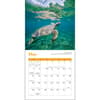 image Sea Turtles 2024 Mini Wall Calendar alternate 2
