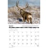 image Mule Deer 2026 Wall Calendar Second Alternate Image
