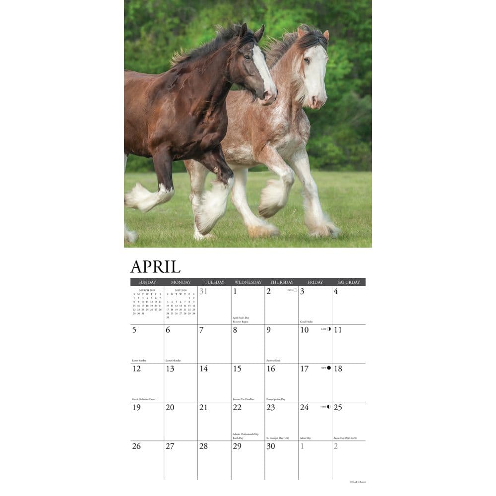 Clydesdales Horses 2026 Wall Calendar Second Alternate Image