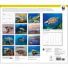 image Sea Turtles WWF 2025 Wall Calendar First Alternate Image width=&quot;1000&quot; height=&quot;1000&quot;