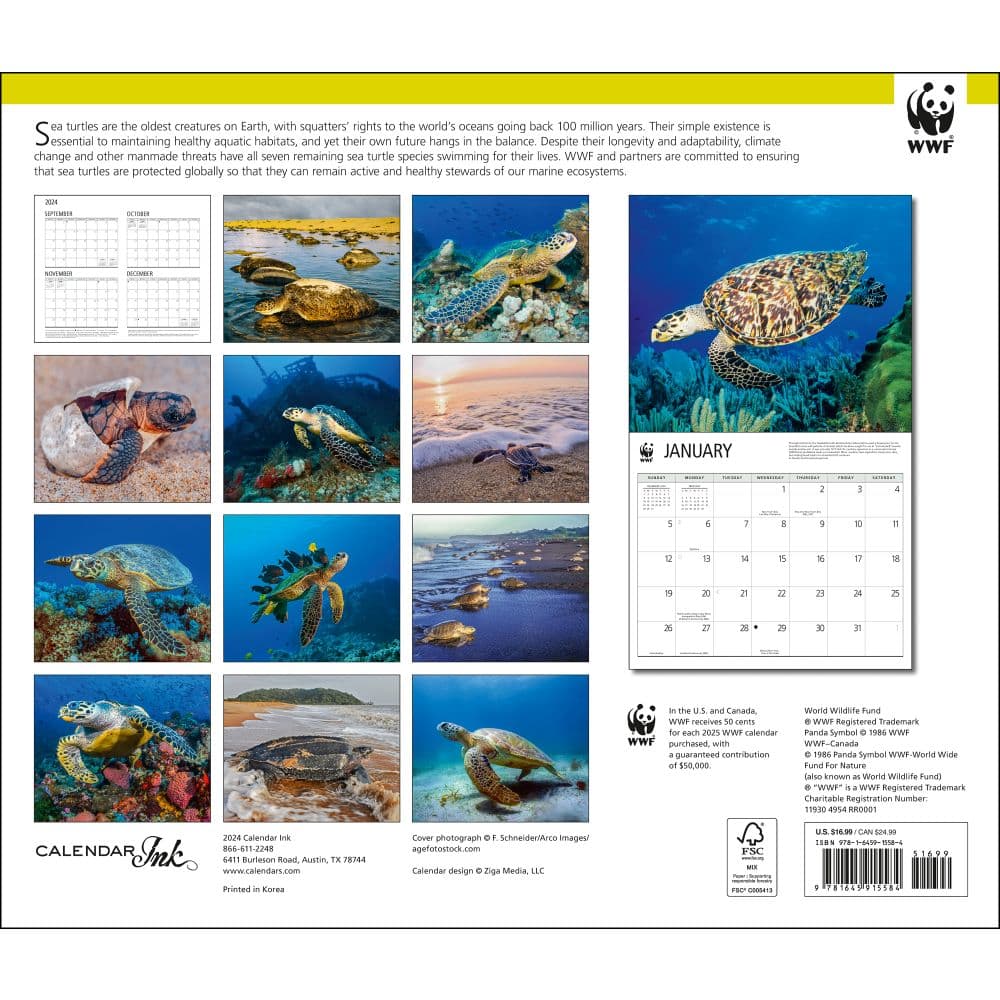 Sea Turtles WWF 2025 Wall Calendar First Alternate Image width=&quot;1000&quot; height=&quot;1000&quot;