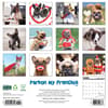 image Pardon My Frenchie 2025 Wall Calendar First Alternate Image width=&quot;1000&quot; height=&quot;1000&quot;