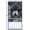 image MLB Tampa Bay Rays 2025 Wall Calendar