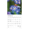 image Wildflowers 2026 Mini Wall Calendar