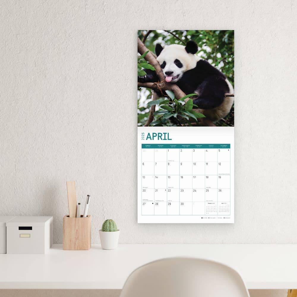 Bears 2025 Wall Calendar