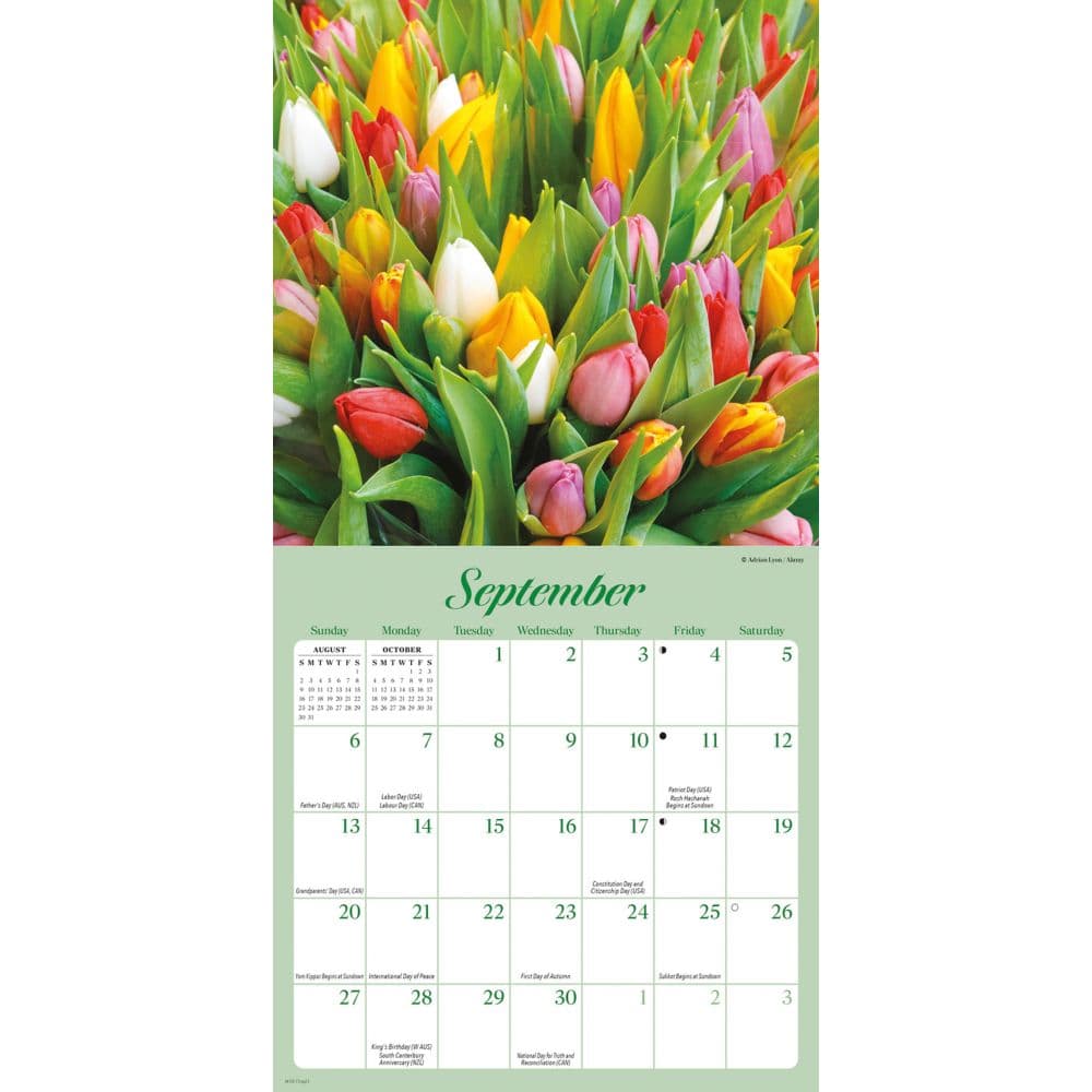 Flowers Special Value 2026 Mini Wall Calendar Fourth Alternate Image