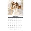 image Getting Squirrelly 2025 Wall Calendar Second Alternate Image width="1000" height="1000"