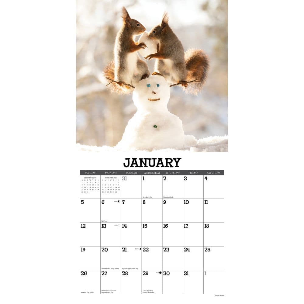 Getting Squirrelly 2025 Wall Calendar Second Alternate Image width="1000" height="1000"