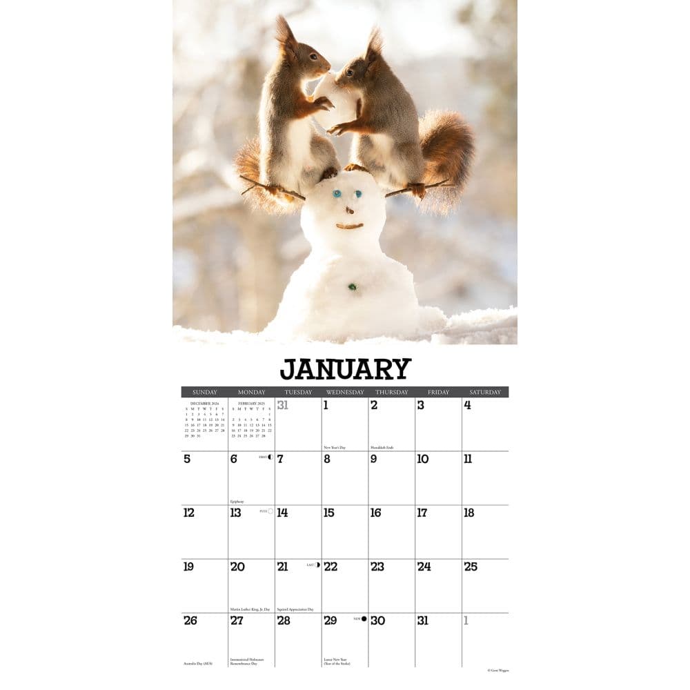 Getting Squirrelly 2025 Wall Calendar Second Alternate Image width="1000" height="1000"