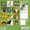 image Playful Puppies 2025 Wall Calendar First Alternate Image width="1000" height="1000"