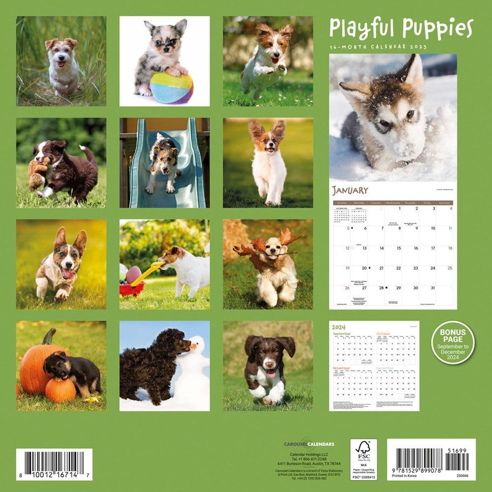 Playful Puppies 2025 Wall Calendar First Alternate Image width="1000" height="1000"