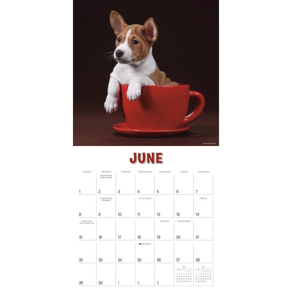 Pups in Cups 2025 Wall Calendar Second Alternate Image width=&quot;1000&quot; height=&quot;1000&quot;