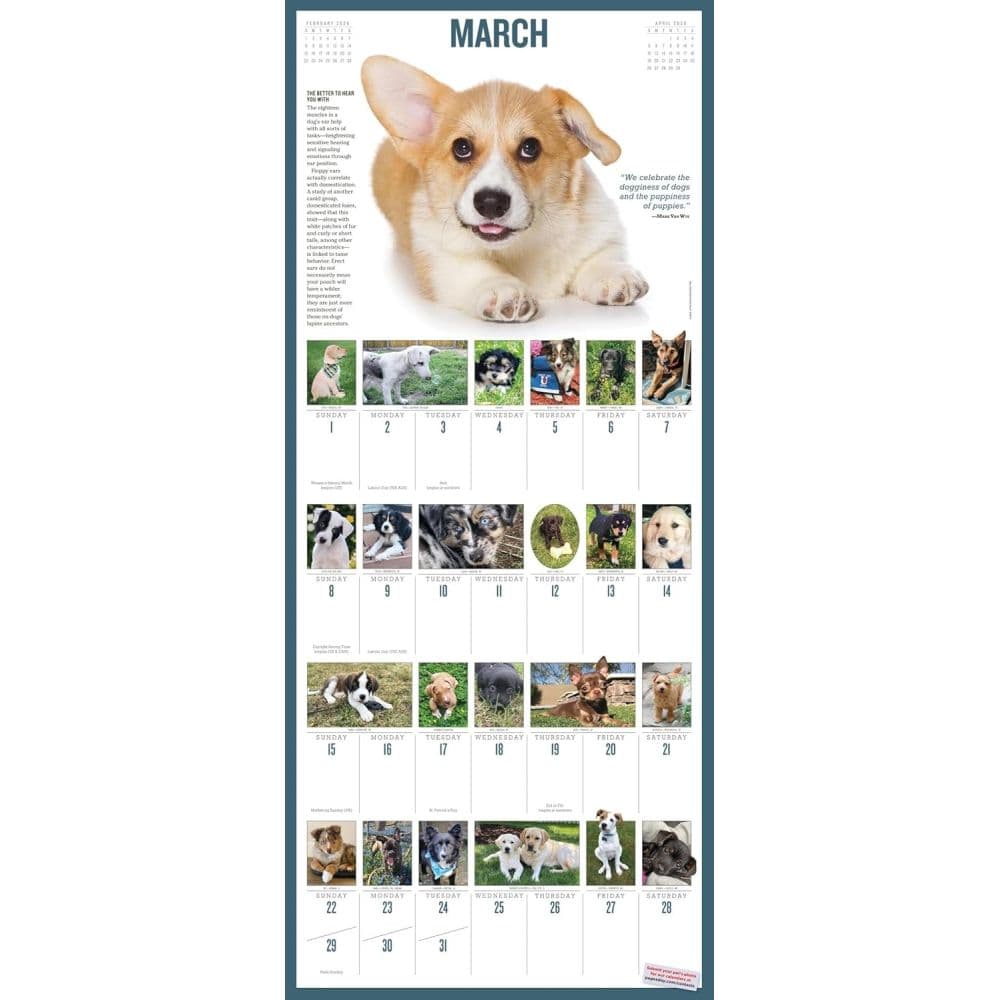 Puppies 365 Days 2026 Wall Calendar Third Alternate Image
