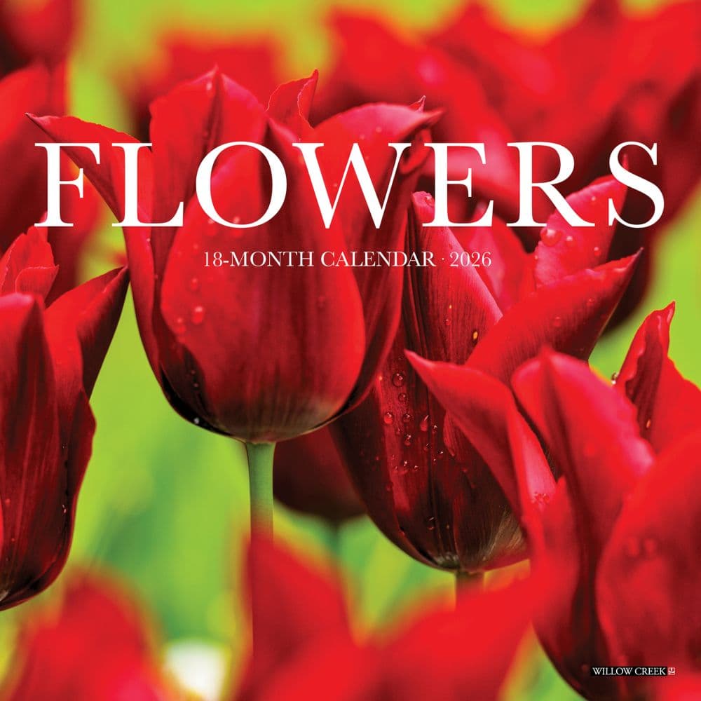 Flowers 2026 Mini Wall Calendar  Main Image