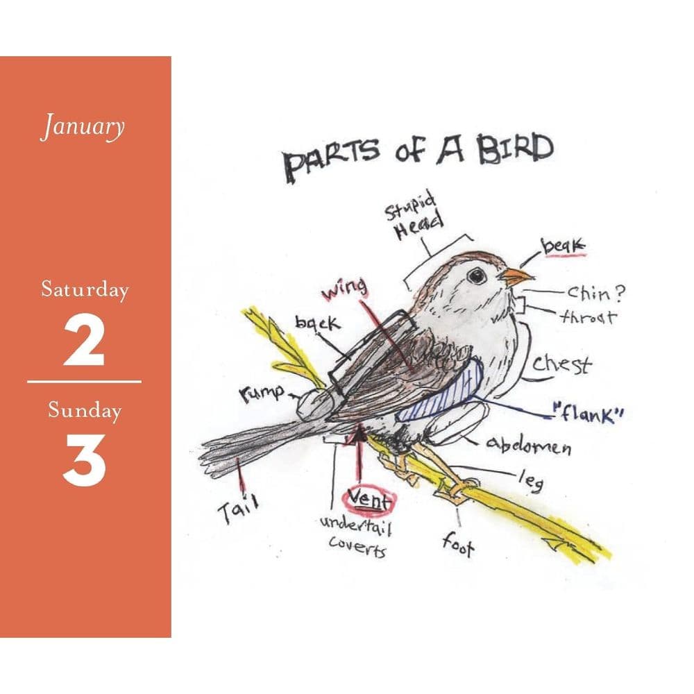 Field Guide to Dumb Birds 2027 Desk Calendar Fourth Alternate Image