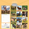 image Donkeys 2025 Wall Calendar First Alternate Image width=&quot;1000&quot; height=&quot;1000&quot;