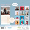 image Dogs in Disguise 2026 Wall Calendar First Alternate Image