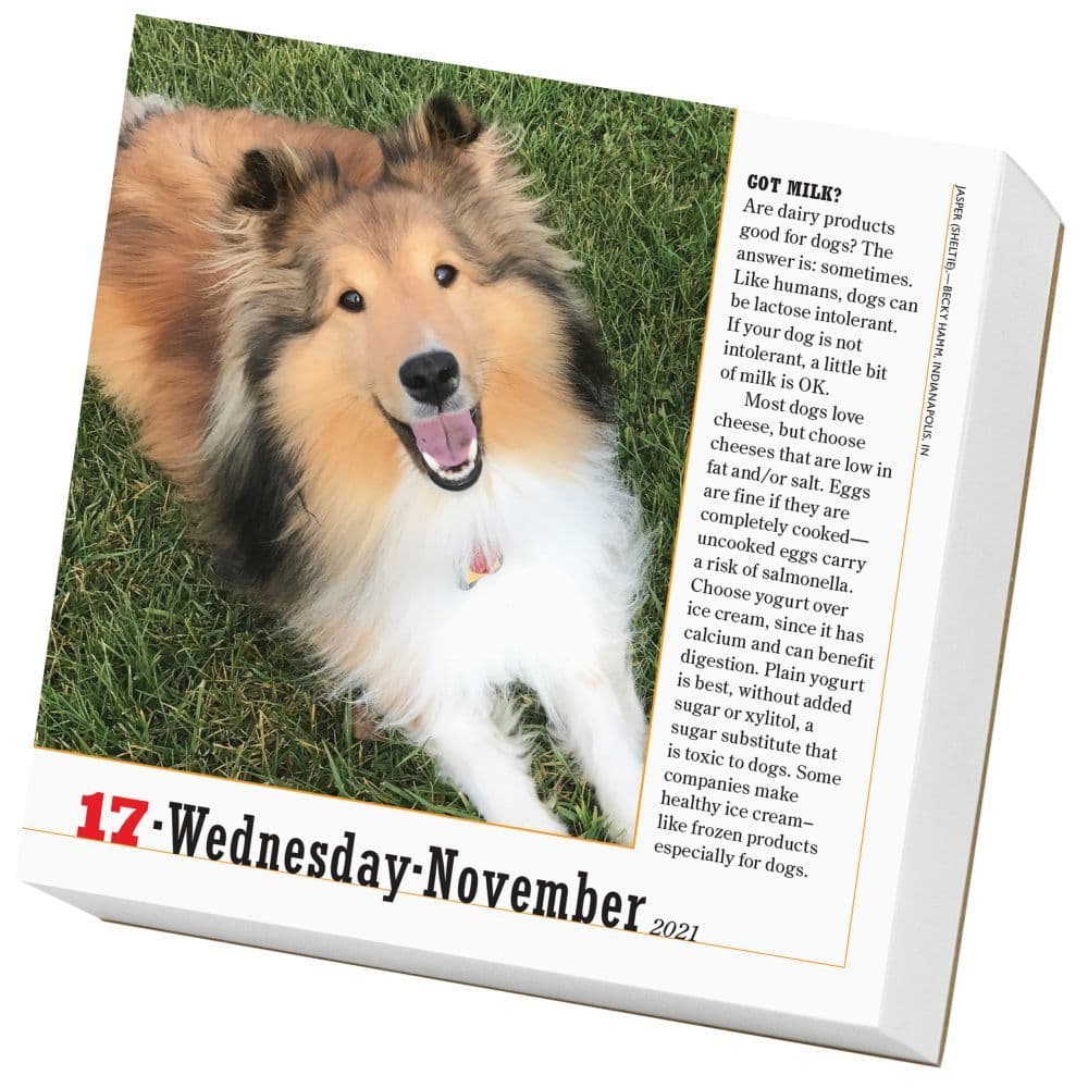 365 Dogs Desk Calendar