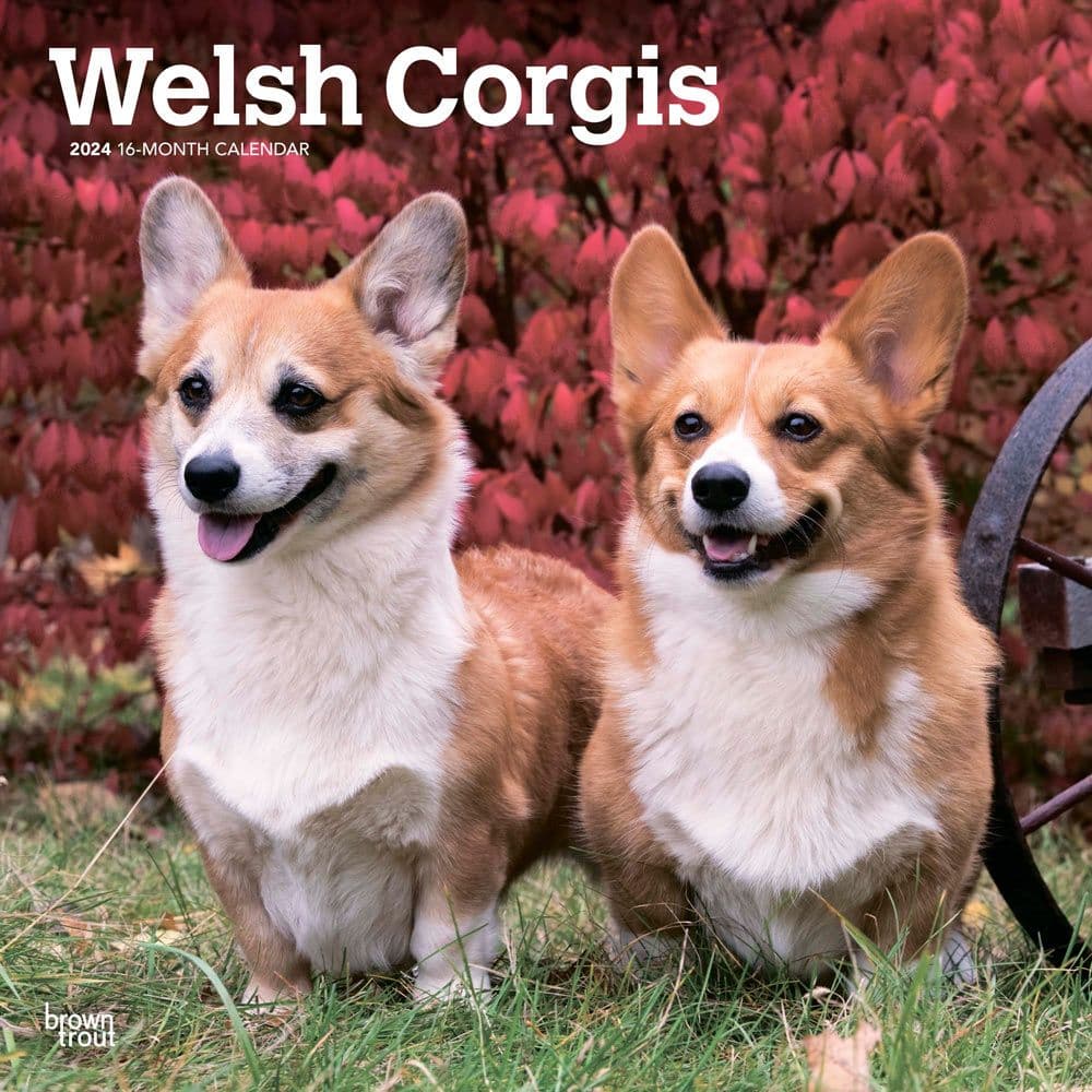 Welsh 2024 Wall Calendar