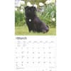 image Pugs Deluxe 2025 Wall Calendar