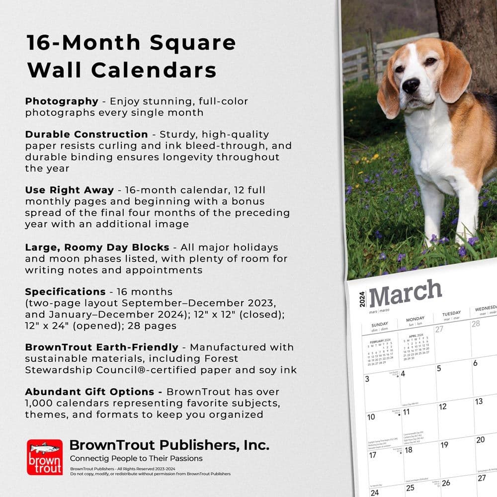 Beagles 2024 Wall Calendar