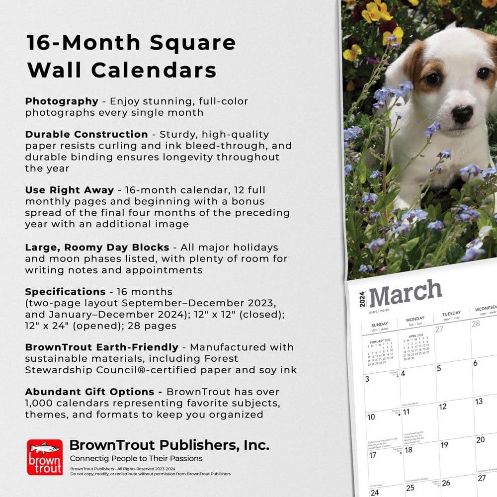 Jack Russell Terrier Puppies 2024 Wall Calendar Fourth Alternate Image width=&quot;1000&quot; height=&quot;1000&quot;