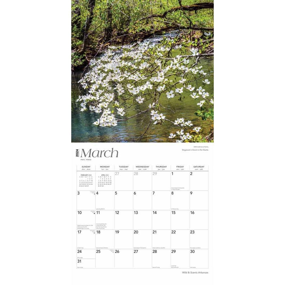 Arkansas Wild and Scenic 2024 Wall Calendar Second Alternate  Image width=&quot;1000&quot; height=&quot;1000&quot;
