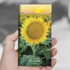 image Sunflower 2yr 2024 Pocket Planner Eighth Alternate Image width=&quot;1000&quot; height=&quot;1000&quot;