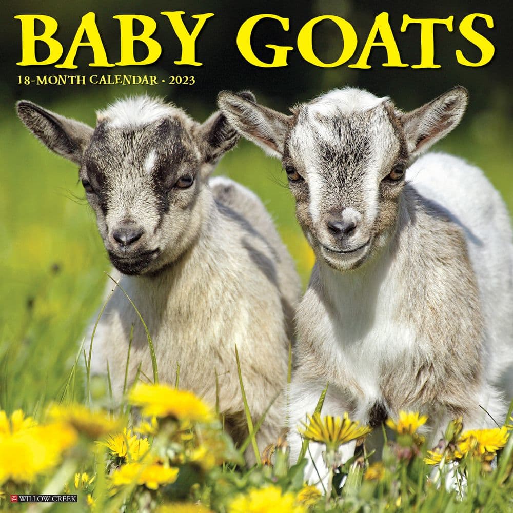 Willow Creek Press Baby Goats 2023 Wall Calendar