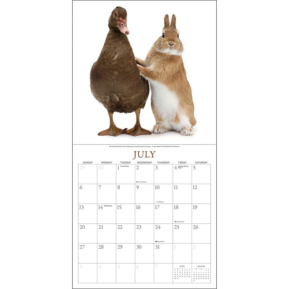 Bunnies and Friends 2025 Wall Calendar Third Alternate Image width="1000" height="1000"