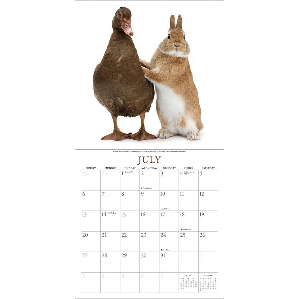 Bunnies and Friends 2025 Wall Calendar Third Alternate Image width="1000" height="1000"