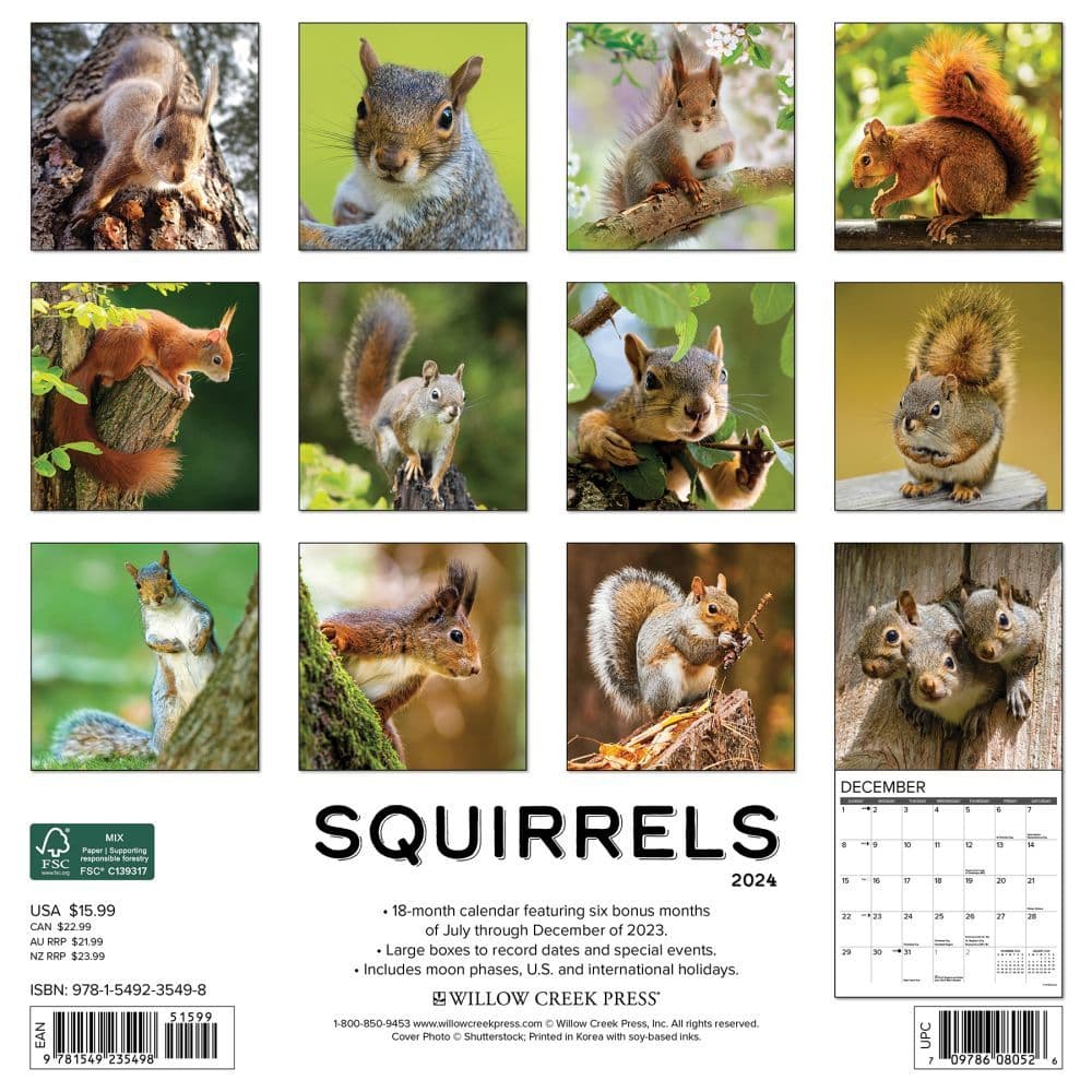 Squirrels 2024 Wall Calendar