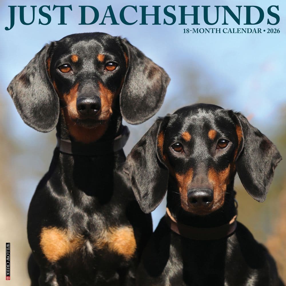 Just Dachshunds 2026 Wall Calendar  Main Image