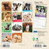 image Puppies For the Love 2024 Mini Wall Calendar First Alternate Image width=&quot;1000&quot; height=&quot;1000&quot;